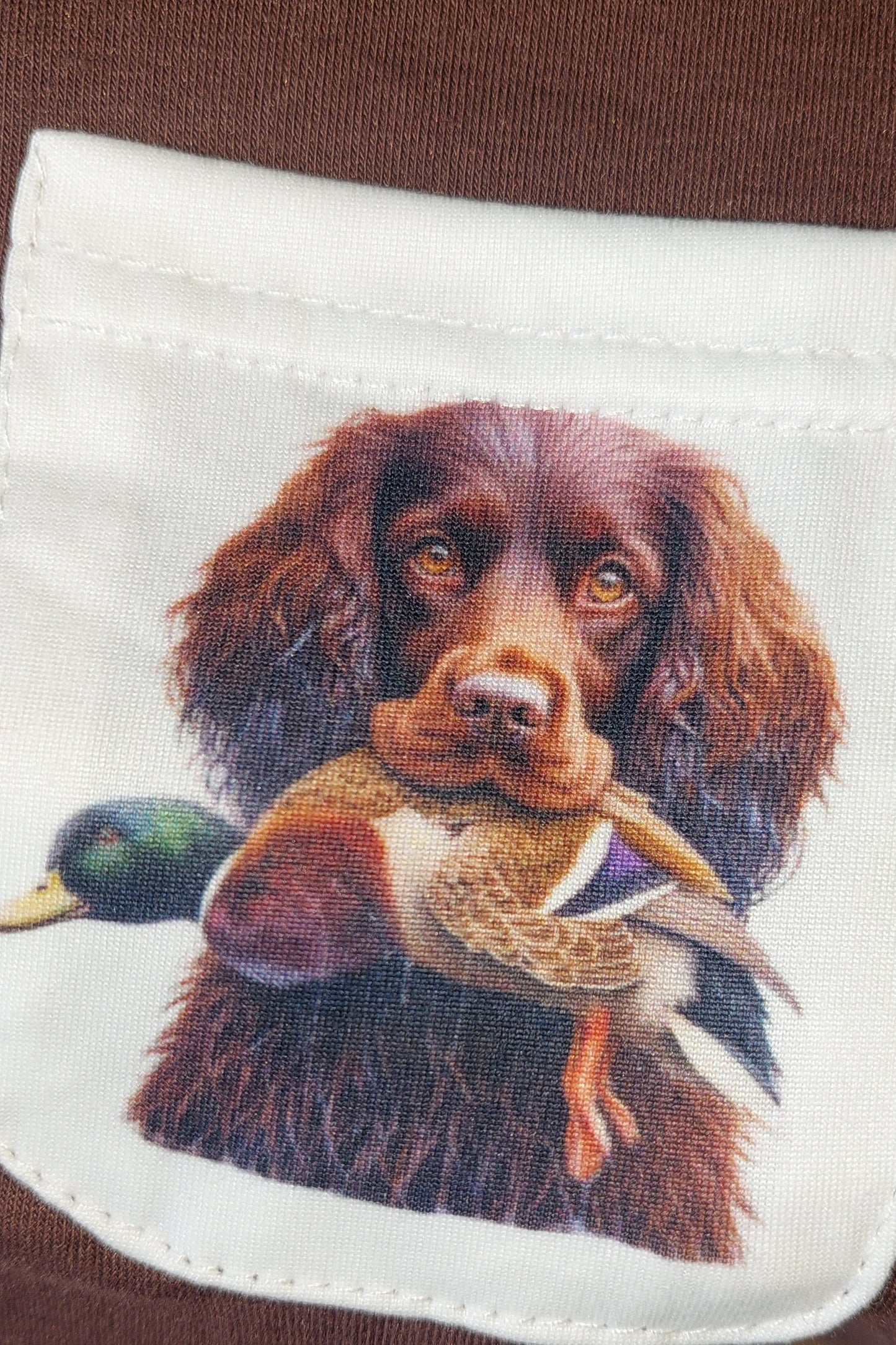 Boykin spaniel hunt short set