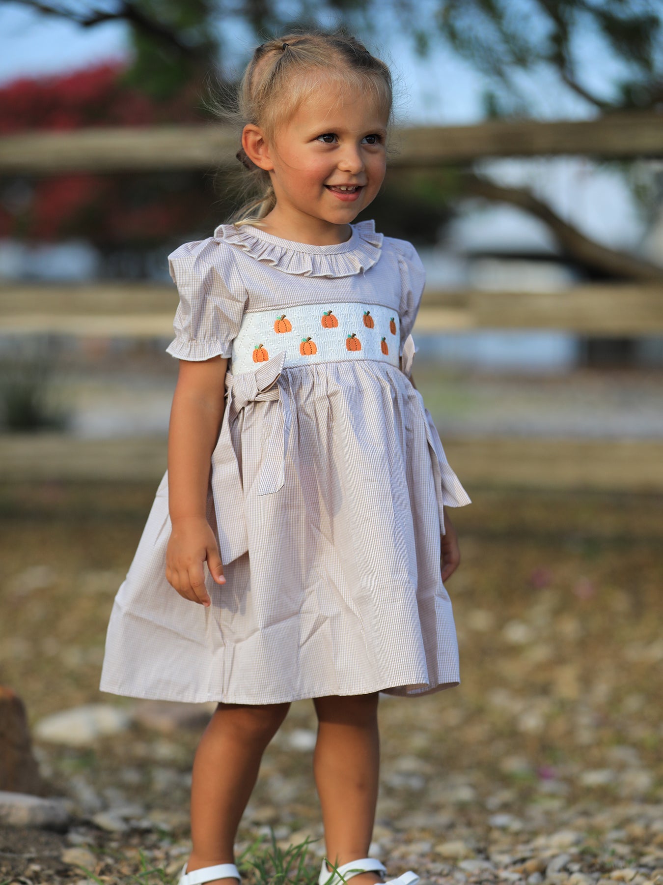 Fall Thanksgiving Pumpkin Embroidery Smock Plaid Girls Dress 4