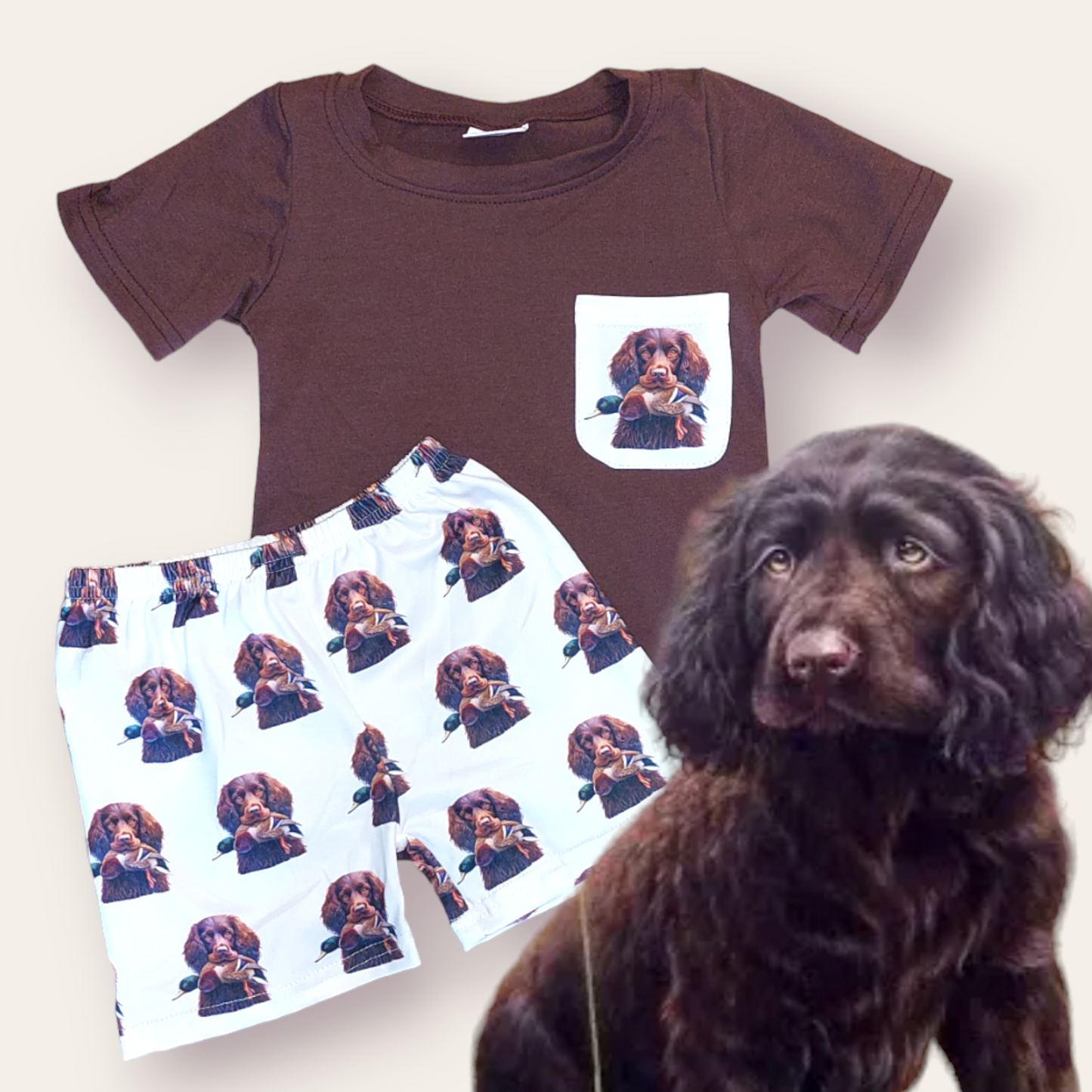 Boykin spaniel hunt short set