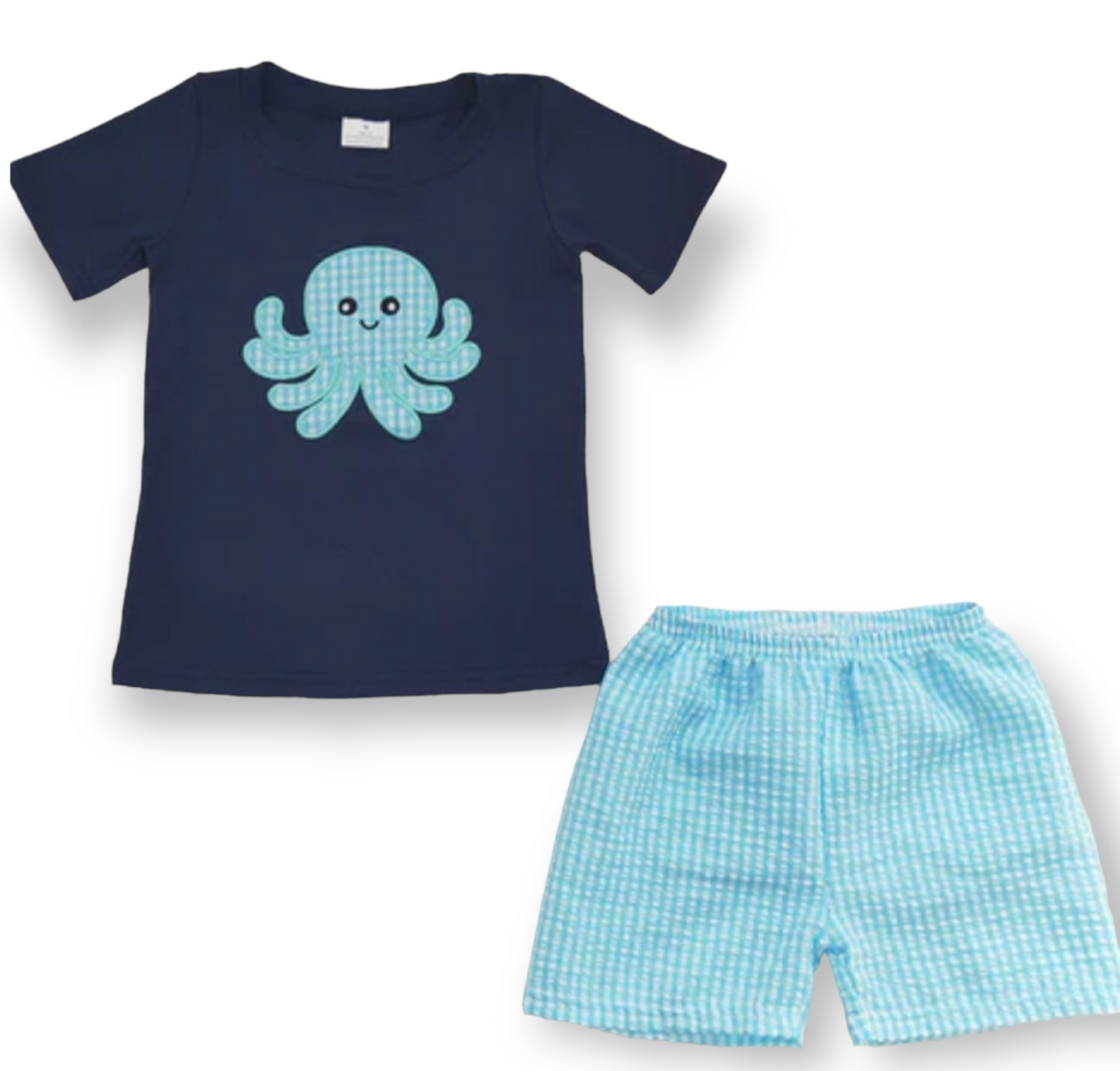 Boys embroidered short set