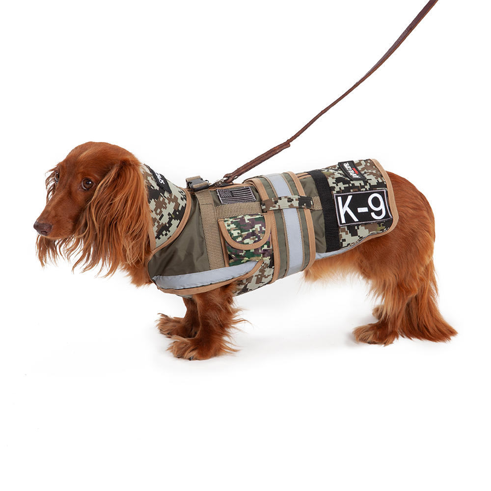 AnimalCamp™ Special Forces Dog Costume