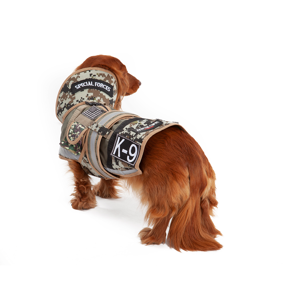 AnimalCamp™ Special Forces Dog Costume