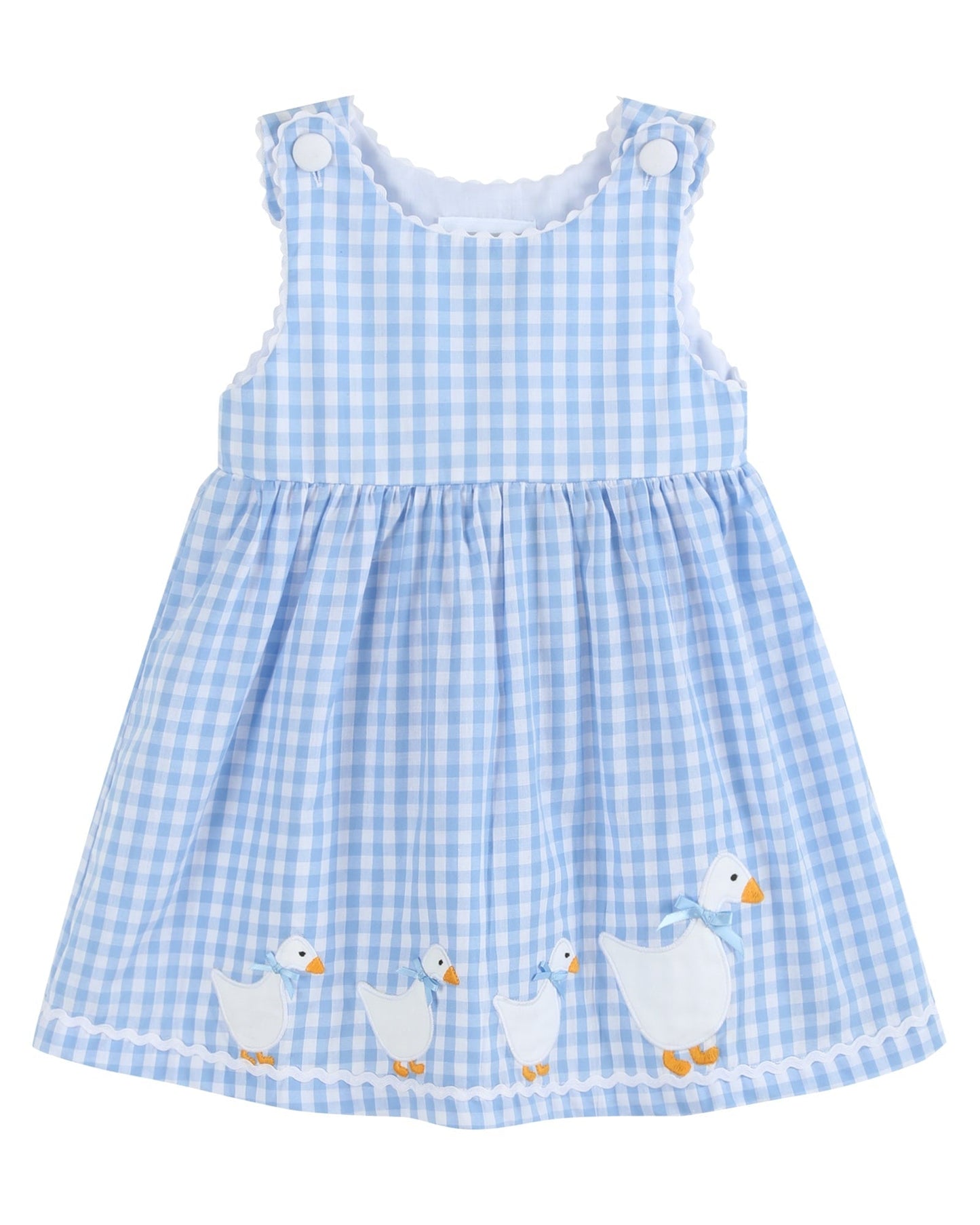 Blue Gingham Goose A Line Dress