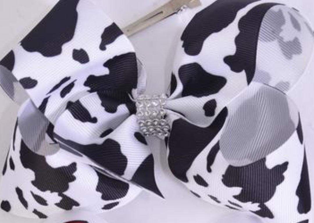 Hairbow cow